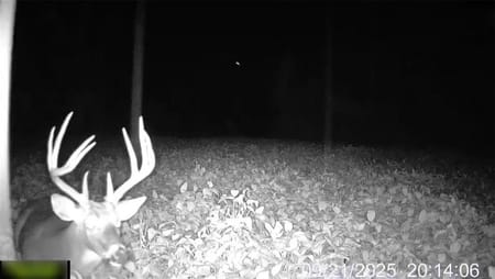 Pattonsburg, MO 64670 Daviess County