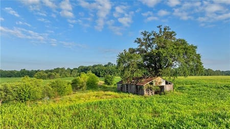 Pattonsburg, MO 64670 Daviess County