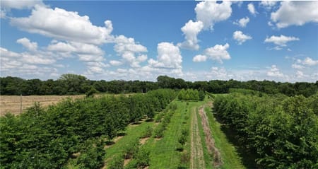 Harrisonville, MO 64701 Cass County