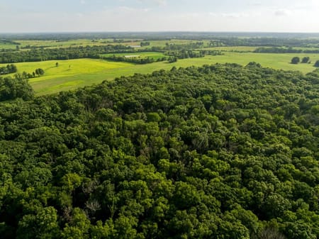 Hale, MO 64643 Livingston County