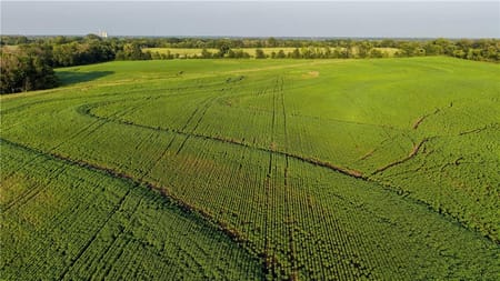 Pattonsburg, MO 64670 Daviess County