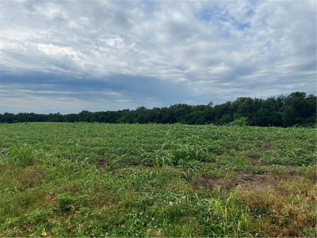 None/County, MO 64079 Platte County