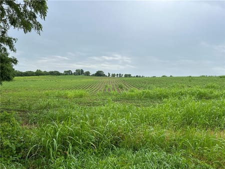 None/County, MO 64079 Platte County