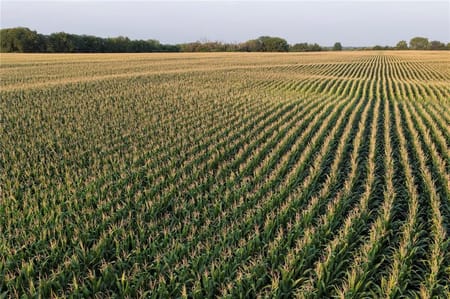 Pleasant Hill, MO 64080 Cass County