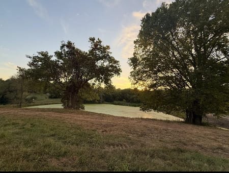 Lee's Summit, MO 64064 Jackson County