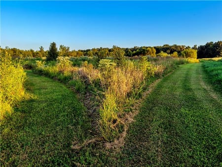 Sweet Springs, MO 65351 Saline County
