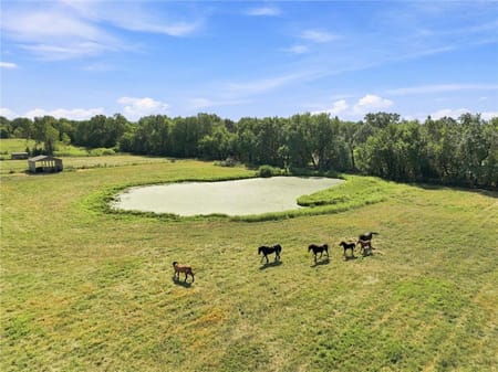 Harrisonville, MO 64701 Cass County