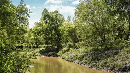 Marceline, MO 64658 Chariton County