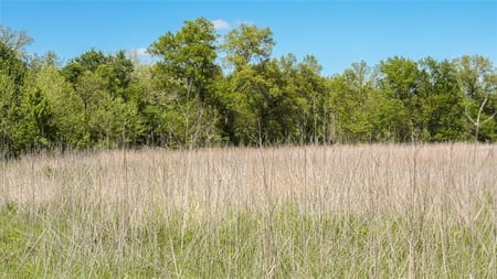 Marceline, MO 64658 Chariton County