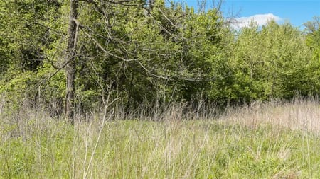Marceline, MO 64658 Chariton County