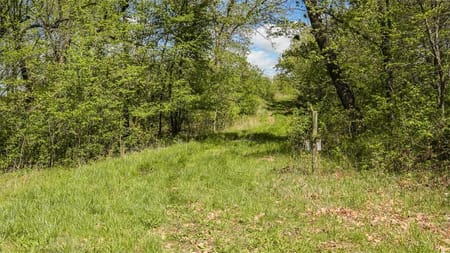 Marceline, MO 64658 Chariton County