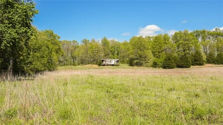 Marceline, MO 64658 Chariton County