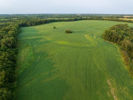 Pilot Grove, MO 65276 Cooper County