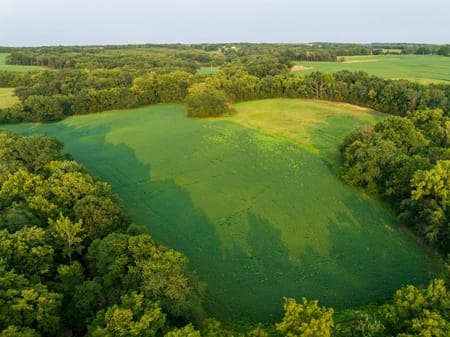 Pilot Grove, MO 65276 Cooper County