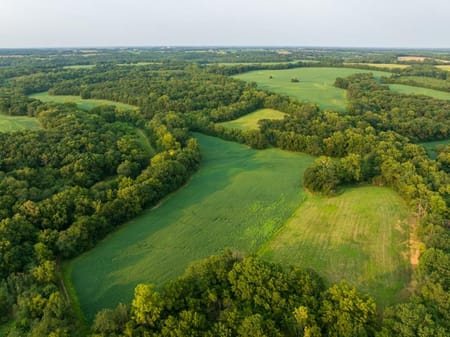 Pilot Grove, MO 65276 Cooper County