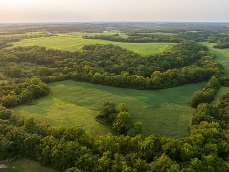 Pilot Grove, MO 65276 Cooper County