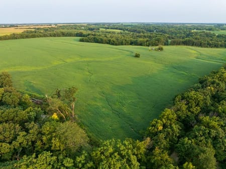 Pilot Grove, MO 65276 Cooper County
