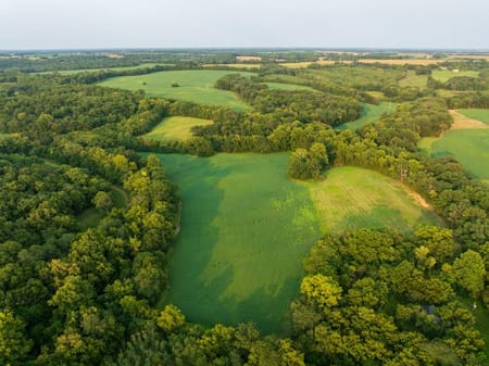 Pilot Grove, MO 65276 Cooper County