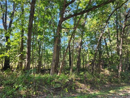 Harrisonville, MO 64701 Cass County