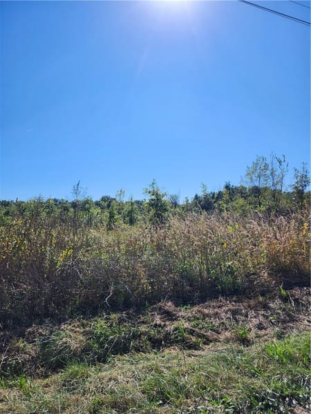 Harrisonville, MO 64701 Cass County
