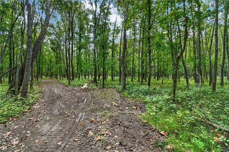 Harrisonville, MO 64701 Cass County
