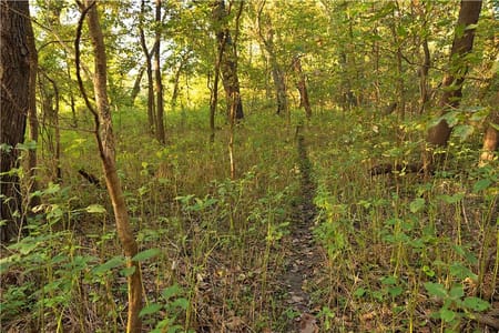 Agency, MO 64401 Buchanan County