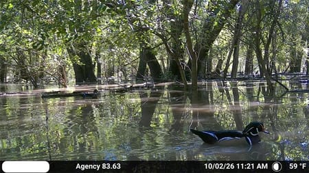 Agency, MO 64401 Buchanan County