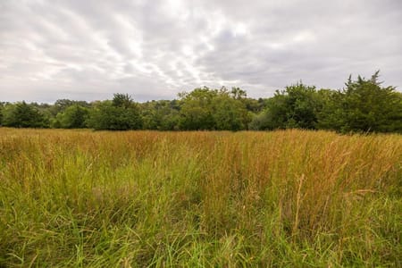 McFall, MO 64657 Gentry County