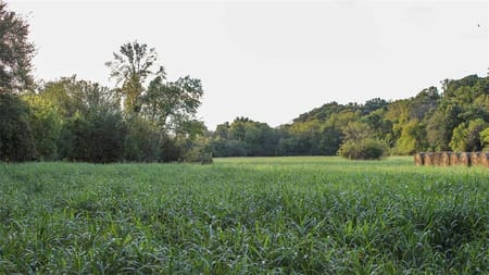 Stella, MO 64867 Newton County