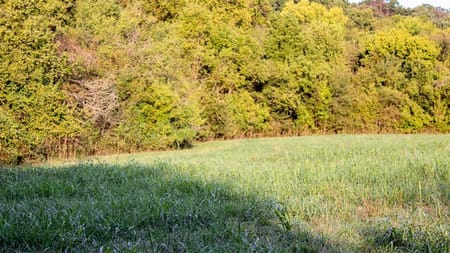 Stella, MO 64867 Newton County