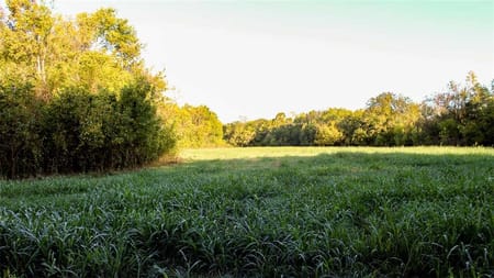 Stella, MO 64867 Newton County