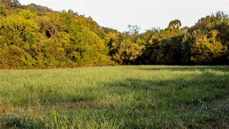 Stella, MO 64867 Newton County