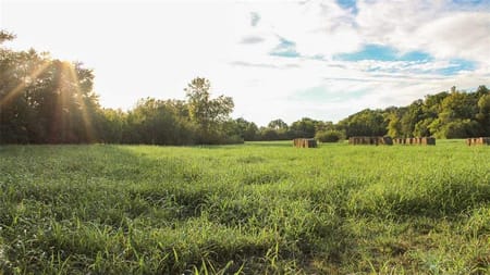 Stella, MO 64867 Newton County