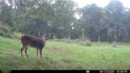 Princeton, MO 64673 Mercer County