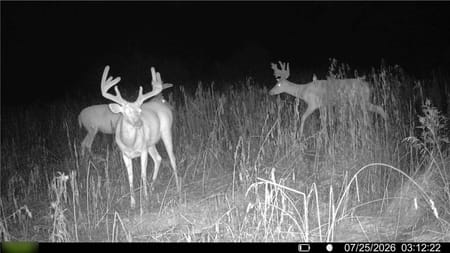 Princeton, MO 64673 Mercer County
