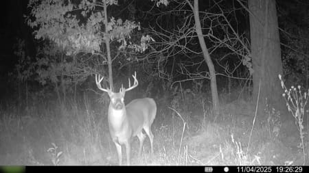 Princeton, MO 64673 Mercer County