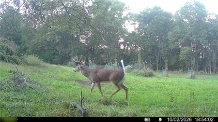 Princeton, MO 64673 Mercer County