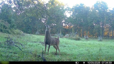 Princeton, MO 64673 Mercer County