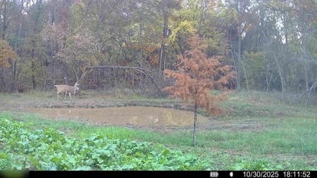 Princeton, MO 64673 Mercer County