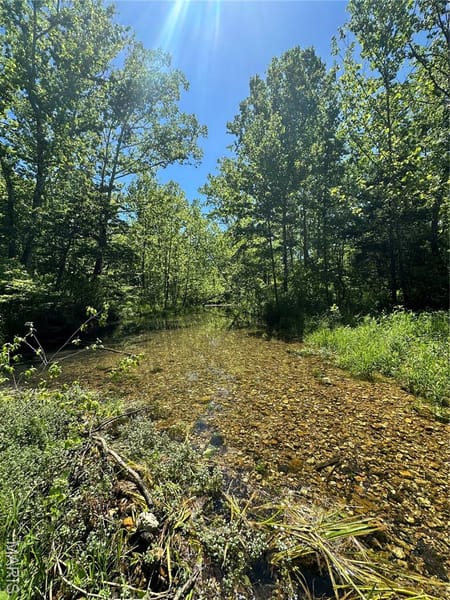 Grandin, MO 63943 Carter County