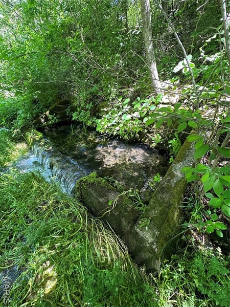 Grandin, MO 63943 Carter County