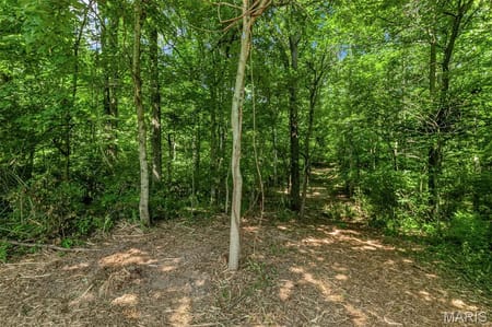 Winfield, MO 63389 Lincoln County