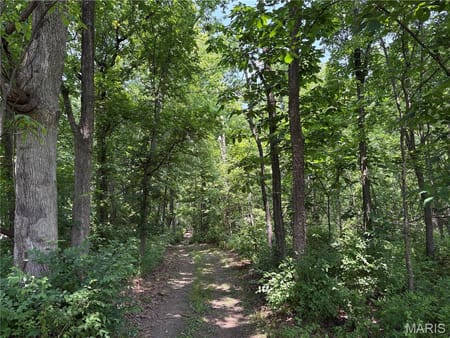 Winfield, MO 63389 Lincoln County