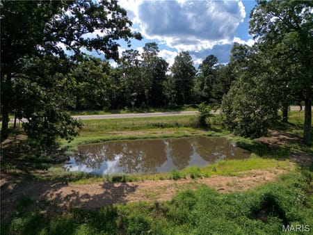 Ellsinore, MO 63937 Carter County