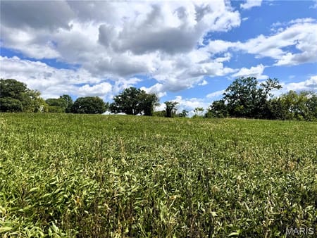 Unincorporated, MO 64645 Mercer County