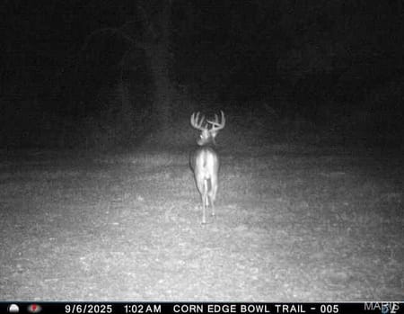 Unincorporated, MO 64645 Mercer County