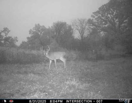 Unincorporated, MO 64645 Mercer County