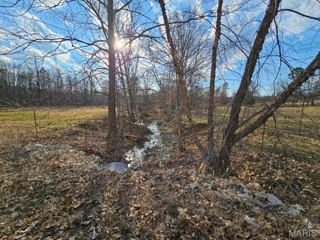 Ellsinore, MO 63937 Carter County