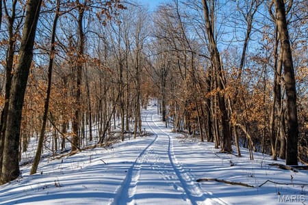 Hartsburg, MO 65039 Boone County