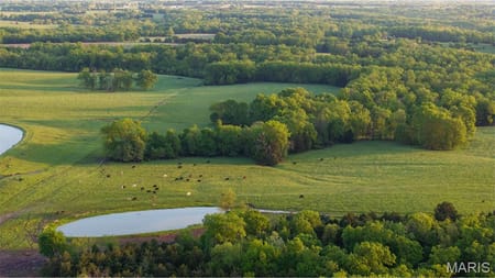 New Bloomfield, MO 65063 Callaway County